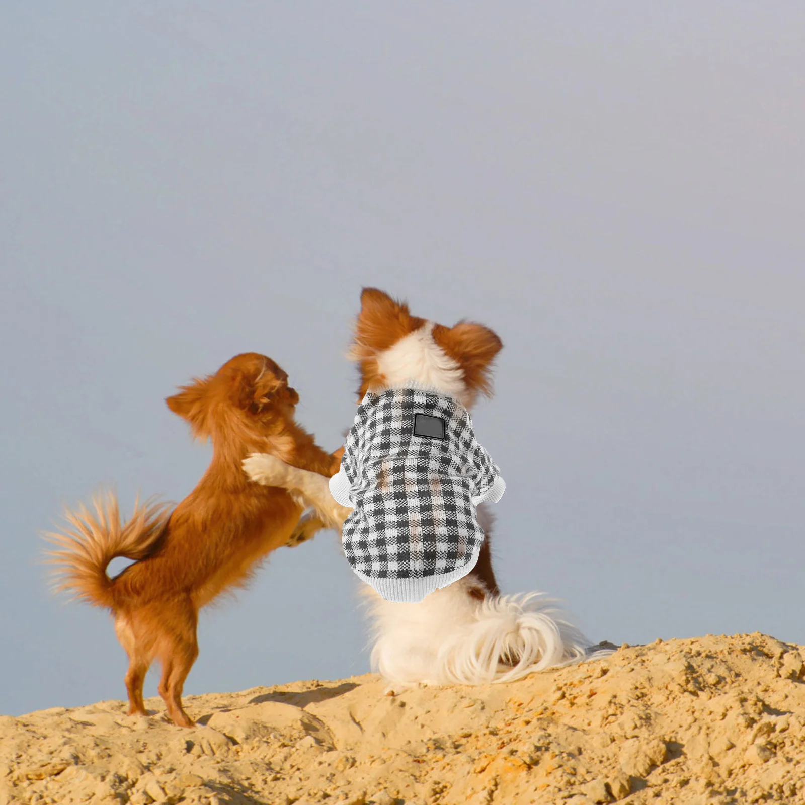 

Pet Dog Warm Wool Sweater Creative Stylish Design Party Daily Use Warm Dog Clothes Pet Sweater Puppy Coat Puppy Coat