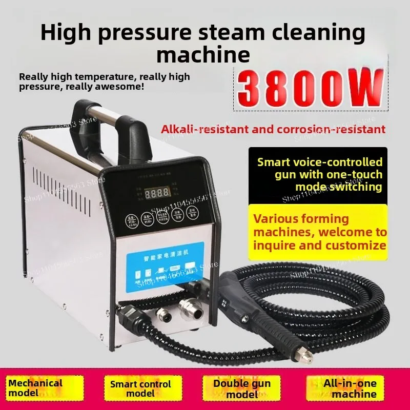 High Temperature High Pressure Steam Cleaner Industrial Commercial Household Appliance Cleaning Equipment