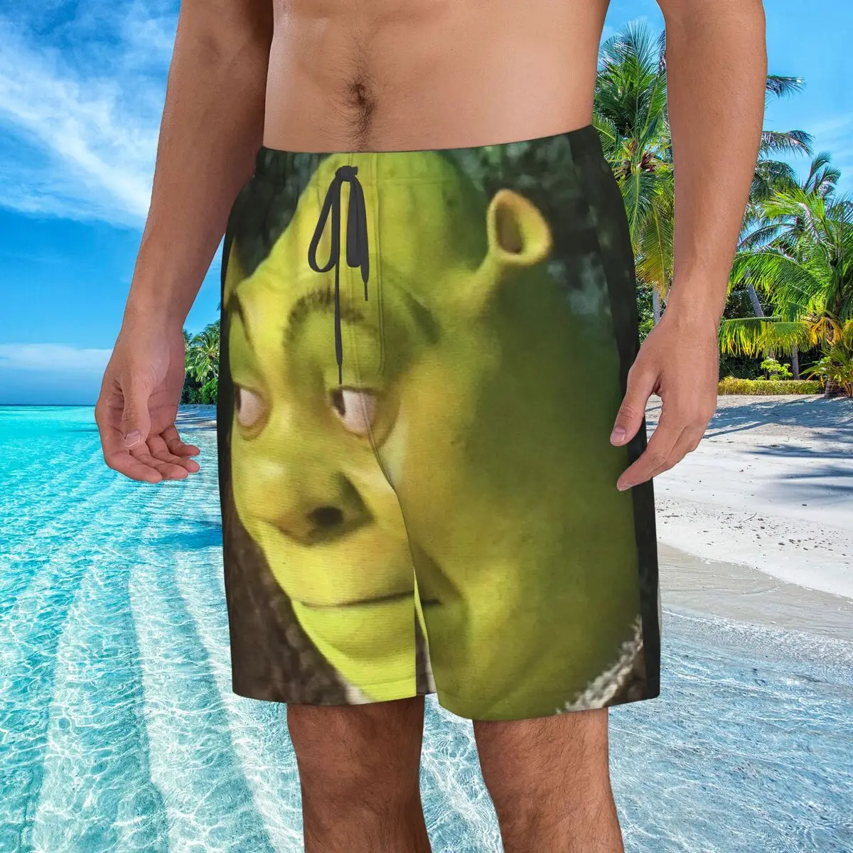 Funny Shreks Meme Men's Swim Trunks Quick Dry Shreks Face Bathing Suit Board Shorts Mesh Lining Beach Swimwear