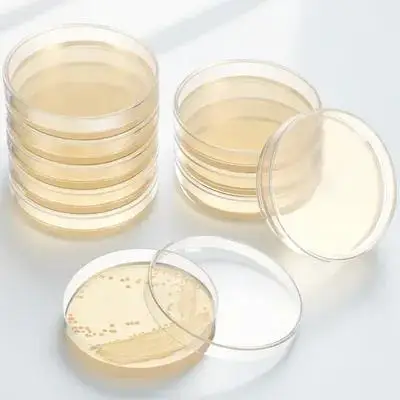 

20 Pcs Outdoor Nutrient Agar Plate Travel Plates for Science Experiment Petri Dishes