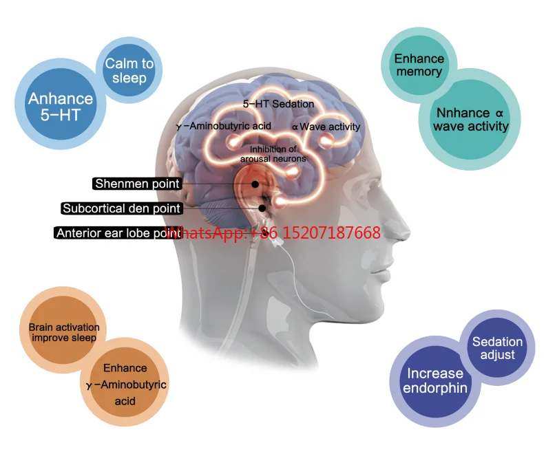 Physiotherapy Equipment Ear Electrode Micro Current Stimulant Equipment   tDCS & rTMS Vagus Cranial Nerve Stimulator