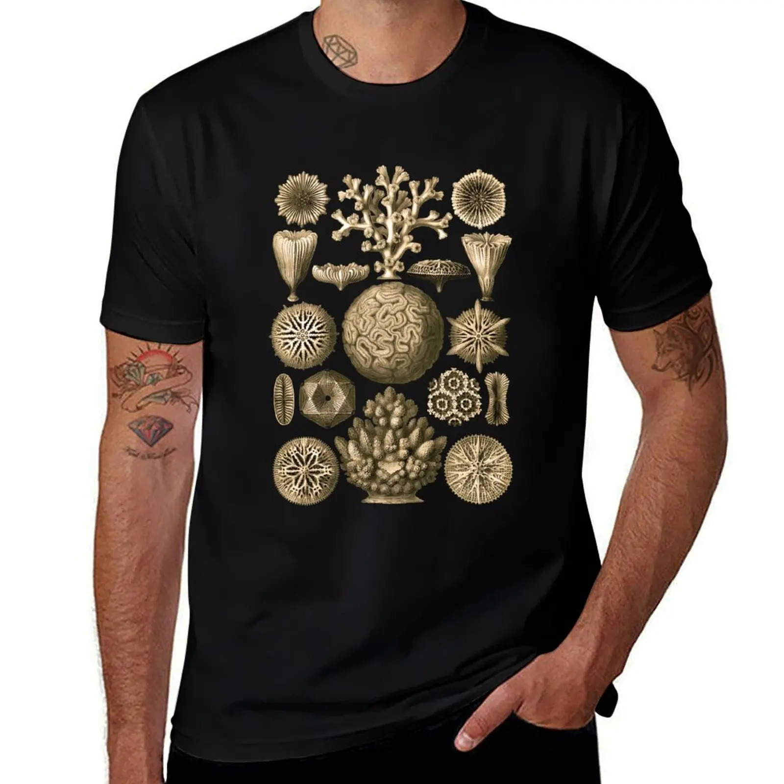 

Hexacoralla, a subclass of corals. T-Shirt for a boy anime clothes designer shirts Man t-shirt black t-shirts for men