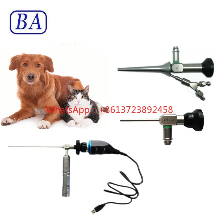 

Medical optical rigid and flexible animal endoscope