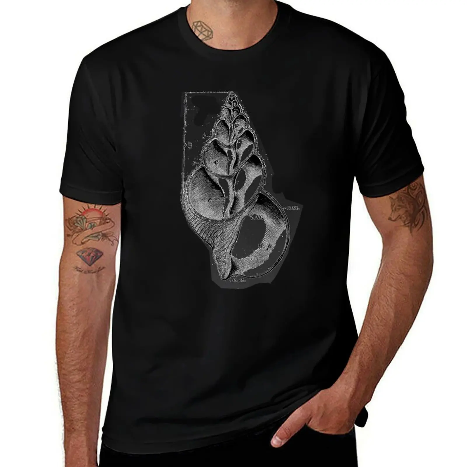 

Fibbonaci Shell T-Shirt Novelty Graphic Tee Shirt