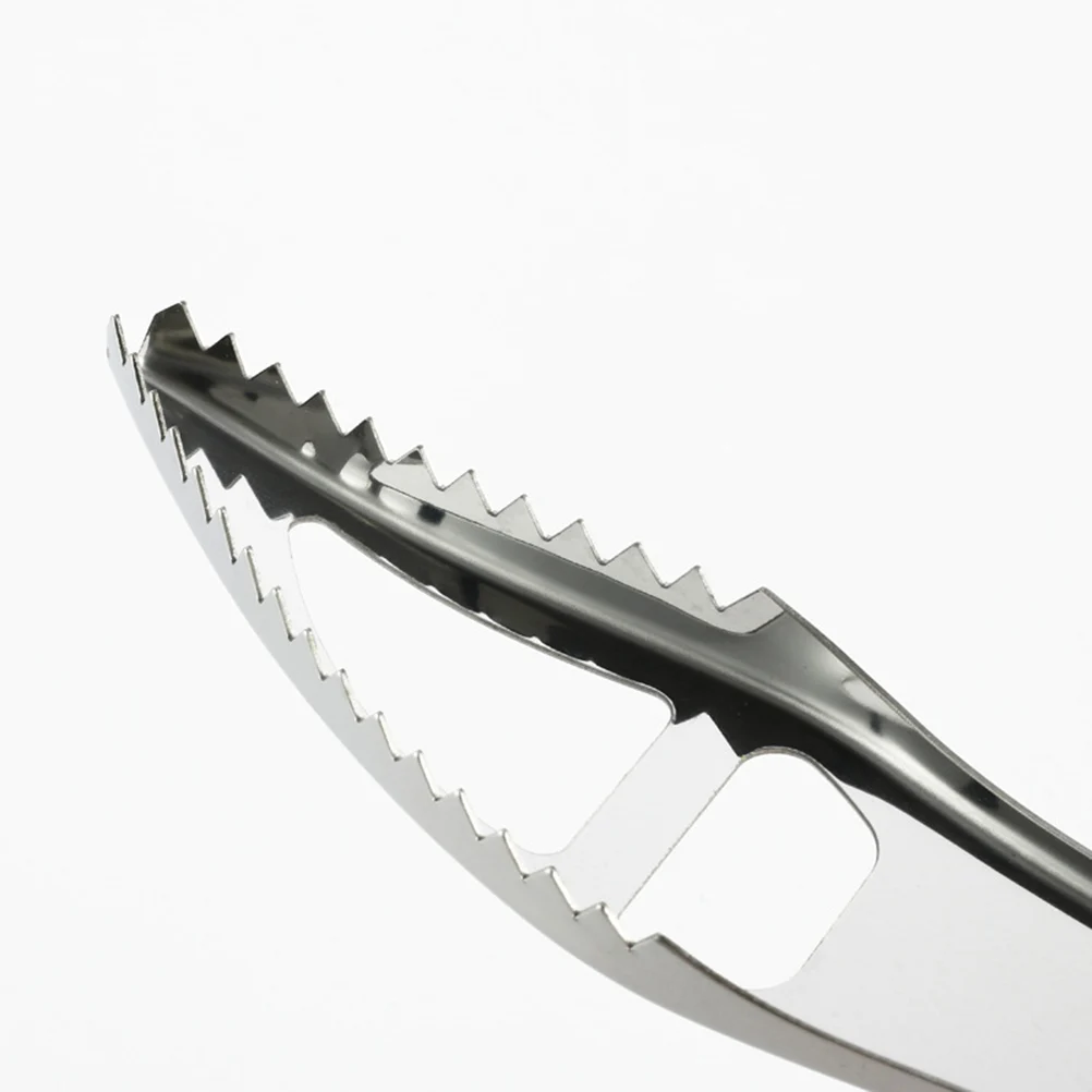 

2 pcs Stainless Steel Fish Scaler Double Row Tooth Design Easy To Clean Corrosion Resistant Kitchen Gadgets Hanging Hole