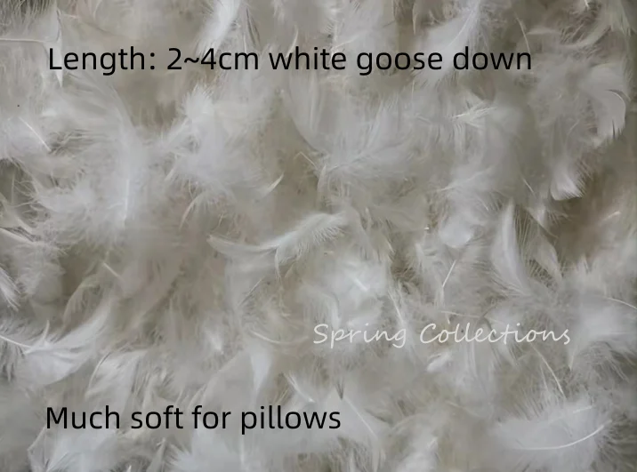 1000g High quality Soft 2-4cm washed white goose down,DIY down for pillow core down