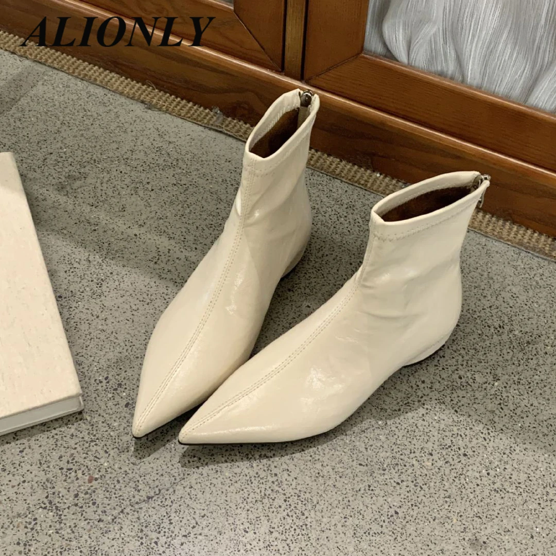 

Alionly 2026 New Winter Pointed Toe Women Ankle Boots Fashion Zipper Low Heels Ladies Shoes Concise Short Booties