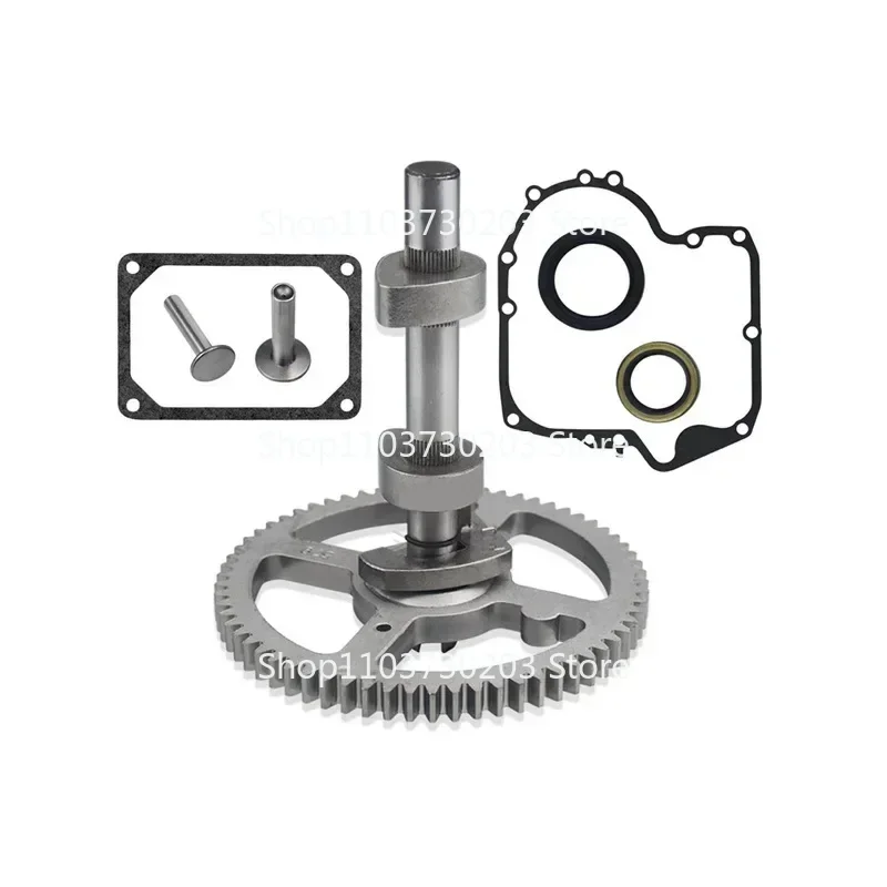 84005207 793880 Camshaft Replacement Kit for Brigg & Stratton 793583 792681 791942 795102