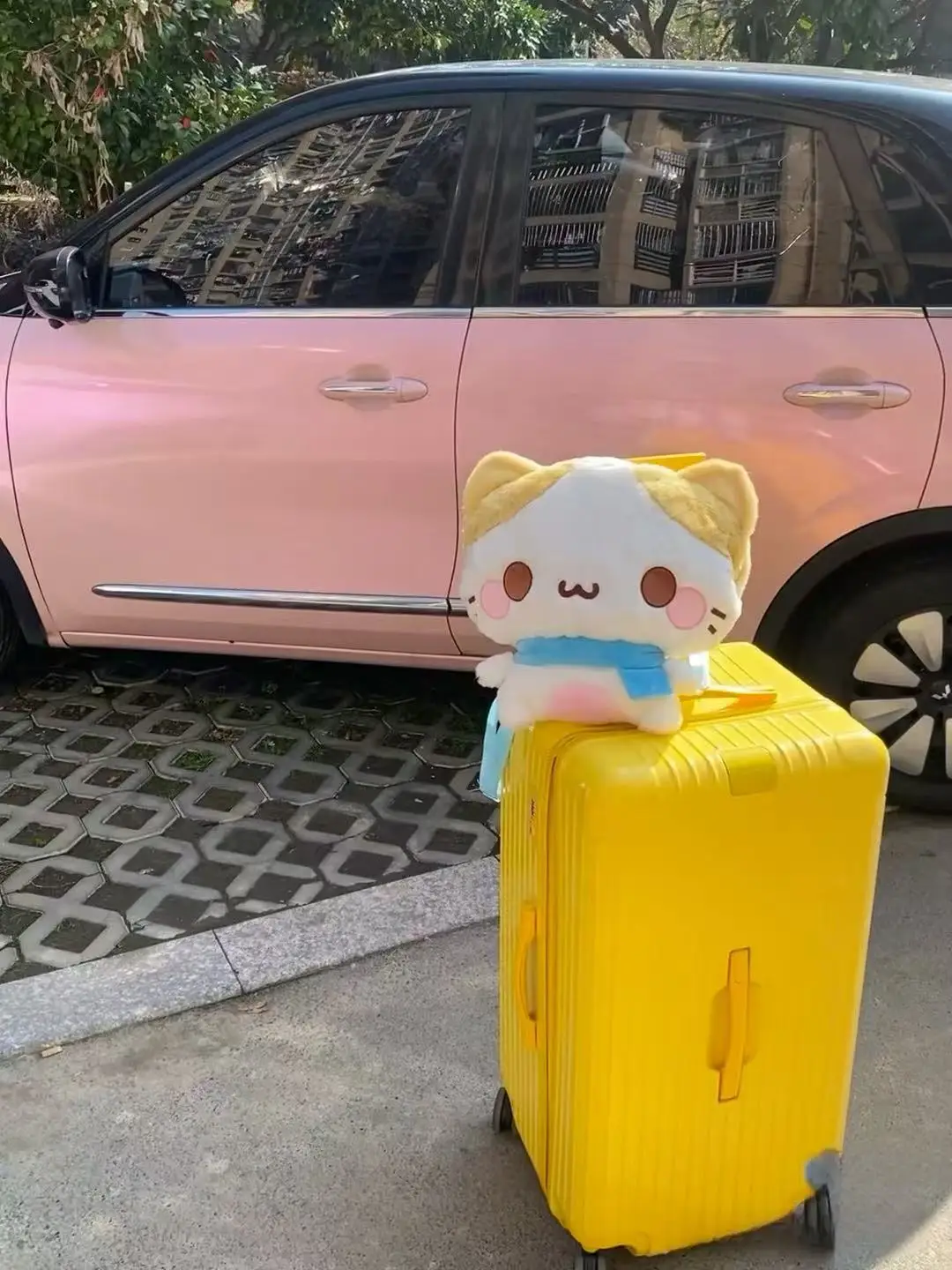 Écharpe mignonne en coton bonbon, sac de poupée chat doux et mignon, sac de poupée de dessin animé, sac à dos en peluche, cadeau d'anniversaire pour étudiant