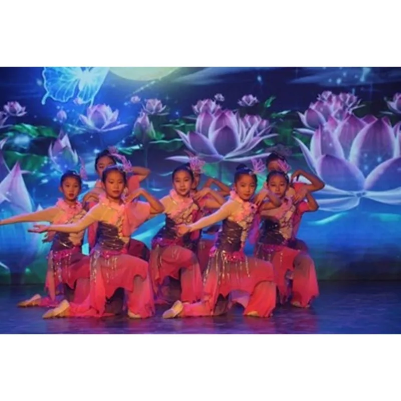 Klassische Performance-Kostüme, hochwertige Tanzbekleidung für Damen, Tanzprüfkostüm, taillierte und fließende Damenbekleidung