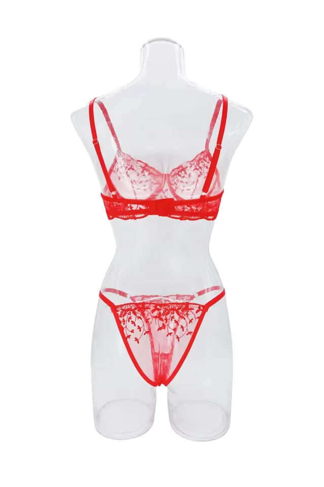 Red Lingerie Sexy Embroidery Pure See Through Bra Womenss Erotics Underwears Womens Seductive Seduction Sexy Lingerie Set
