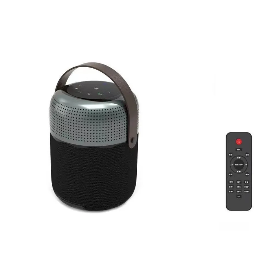 T100plus 小型スピーカーフルレンジ 100 ワットビッグパワー公共アンプパッシブラジエーター Dsp ホーンスピーカー