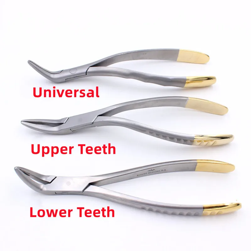 Dental Forcep Root Fragment Minimally Invasive Extraction Tooth Pliers Instrument Curved Maxillary Mandibular Teeth