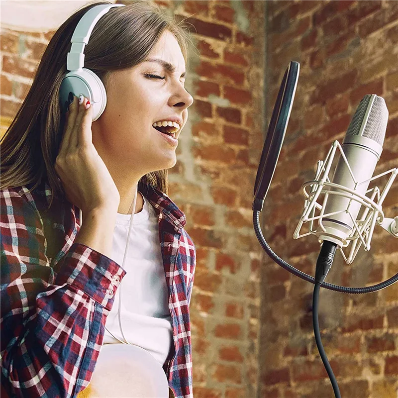 N11R XLR Cable Musical Microphone Sound Cable Plug Right Angle XLR Female To Male Cable 6 Feet