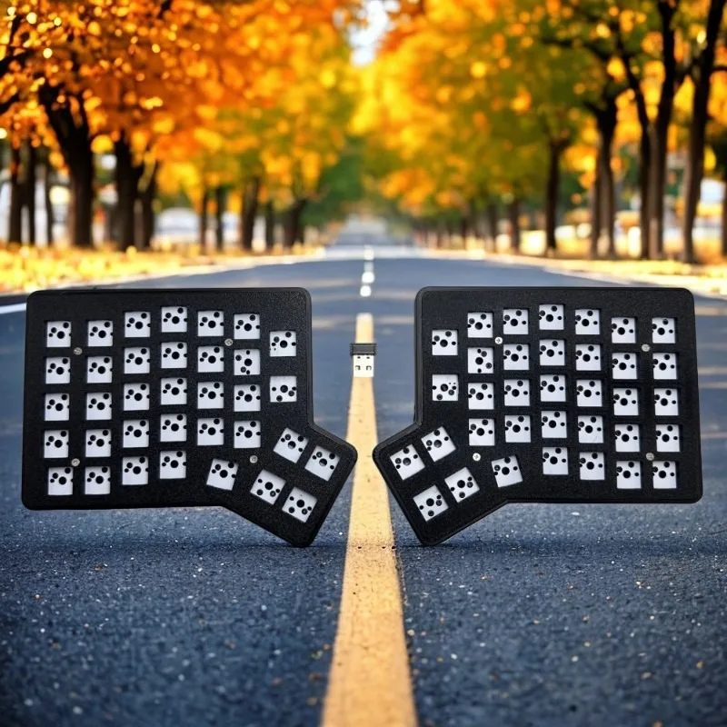 

RRedox 2.4G Wireless Split Keyboard Custom Hot Swap Ergonomics 3D PLA Split Gaming Mechanical Keyboard CR2032 VIAL Keymap MX