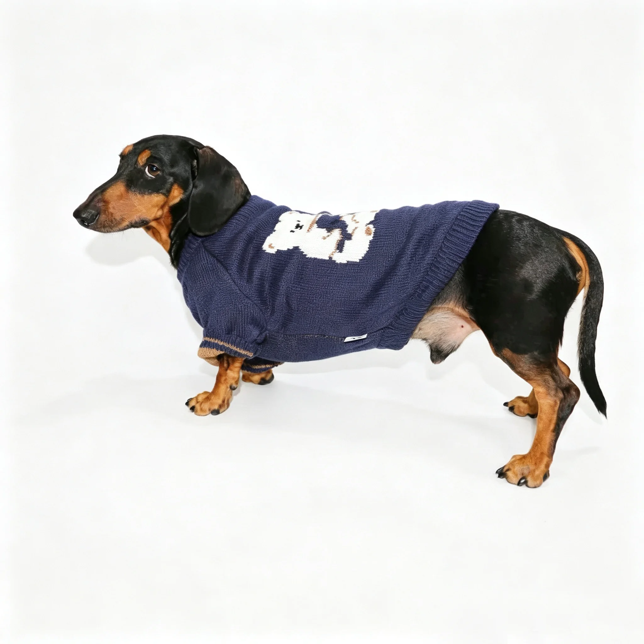 Wiener Dog trui, warme winterjas voor windhonden, berenblauw, korte mouwen, herfsttrui, jumpsuit voor dachshonden.