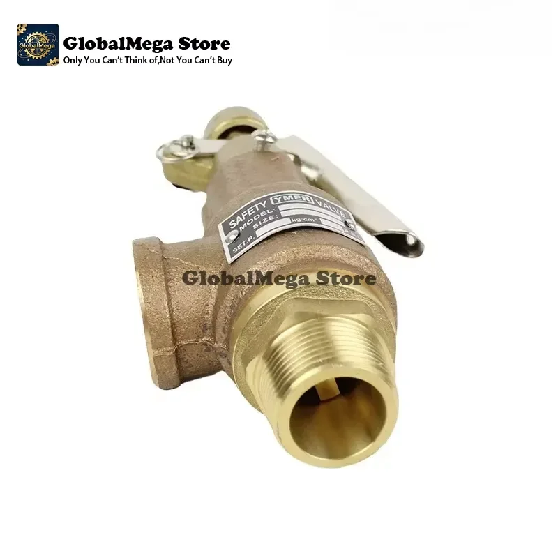 2026 Latest Bronze Thread S10L Pressure Relief Valve for Water Heater Tank Spring Loaded T&P Safety Valve Temperature and