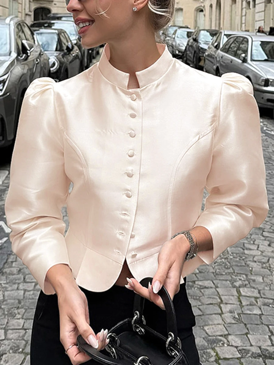 

Onecozyday Women's Retro Stand Collar Satin Crop Top Structured Princess Seam Puff Sleeve Button Front Office Dressy Shirt