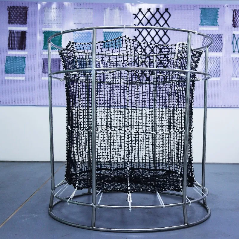 

Cage culture Tilapia seedlings