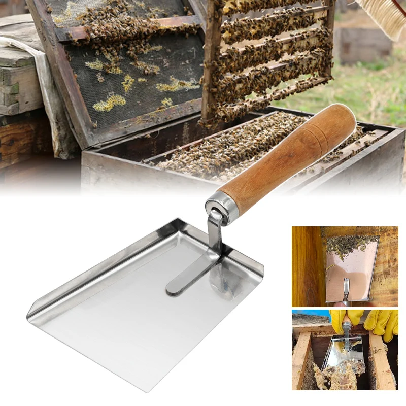 Pala de polen de acero inoxidable para apicultura, Extractor de miel limpio, raspador de limpieza de colmena plana, herramientas profesionales para apicultor