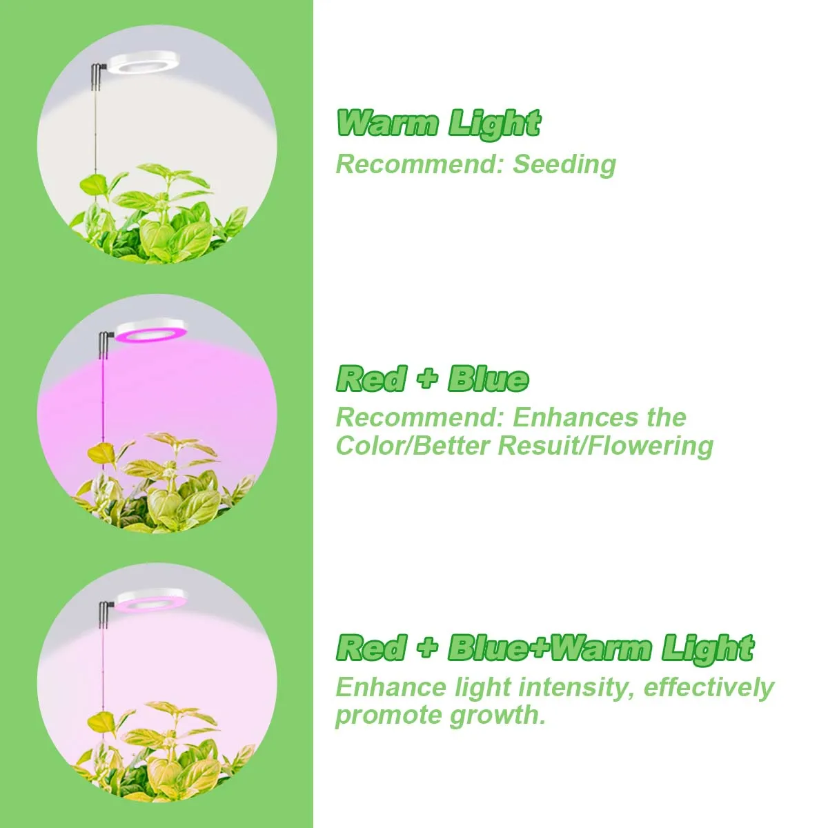 ضوء نمو النبات LED كامل الطيف 3/9/12 توقيت ارتفاع قابل للتعديل ثلاثة ألوان درجة الحرارة وعاء داخلي ضوء نبات عصاري