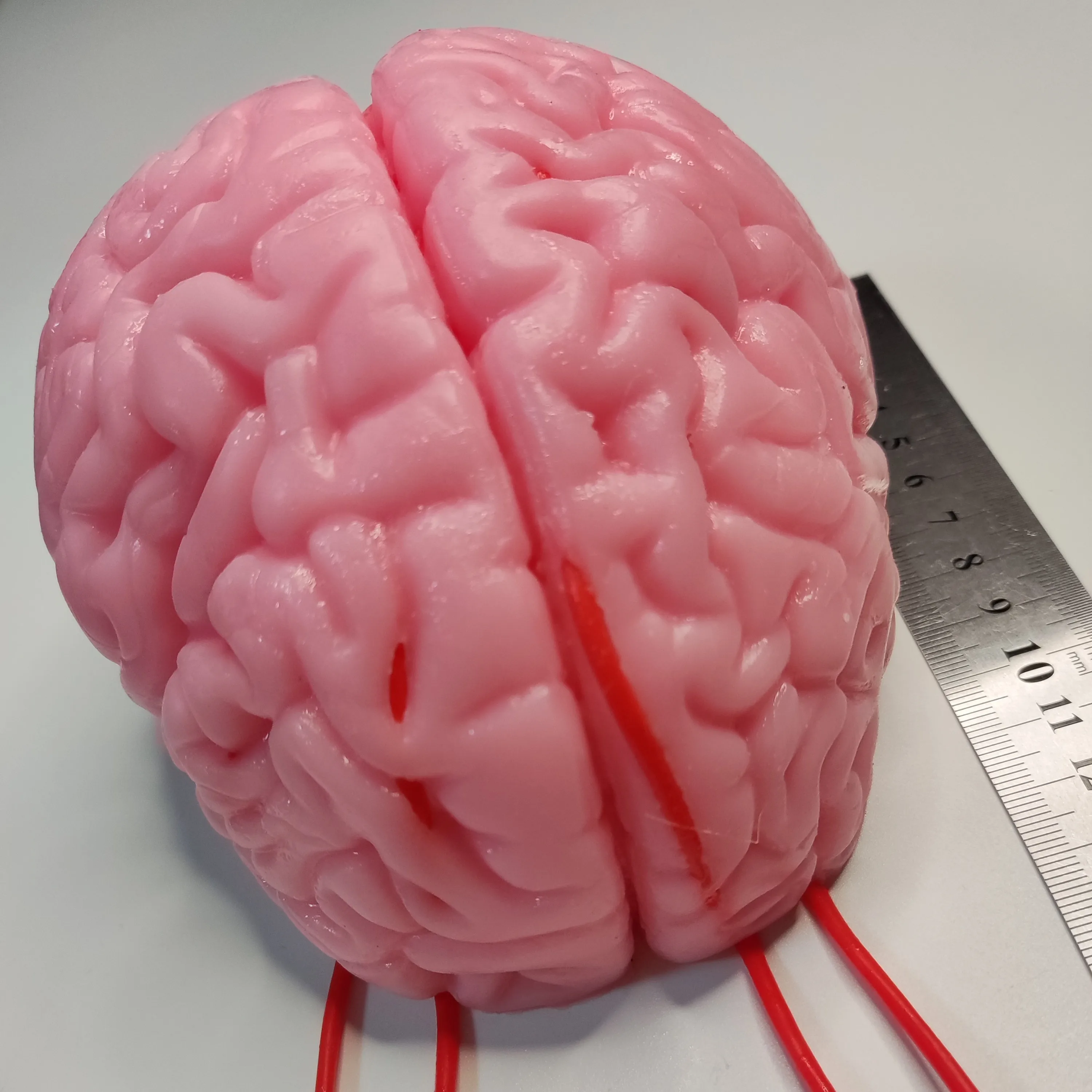 

Extracerebral microscopic module model