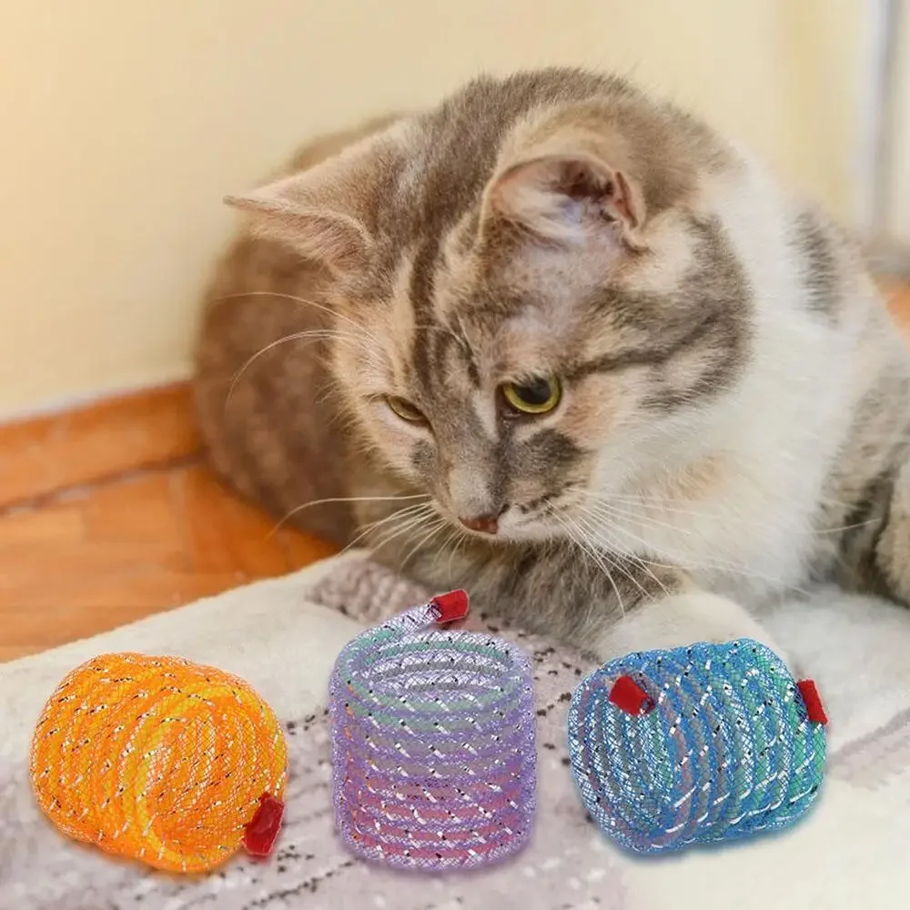 6/10pcs Cat Spring Toy Portable Random Color Forward Spring Toy Durable Kitten Spiral Springs Lightweight for Pets Accessories