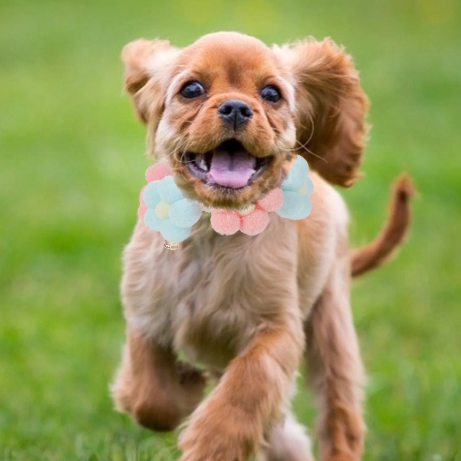 

Adjustable Knitted Collar for Dog Lightweight Breathable Hand Made Pet Collar Stylish Design Suitable for Cats and Small Dogs