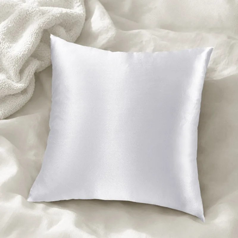 Luxury Silk Cushion 40x40cm Gift Box Set 19 Momme 100% Mulberry Silk Pillow Cover for Sofa Couch Headboard Car Lumbar Home Decor