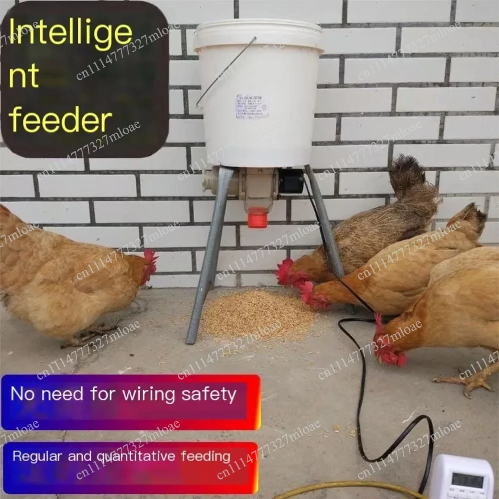 Automatic Chicken Feeder Pigeon Chicken Duck Carrier Pigeon Trough Intellegent Timing Automatic Chicken Feeder Pigeon Supplies