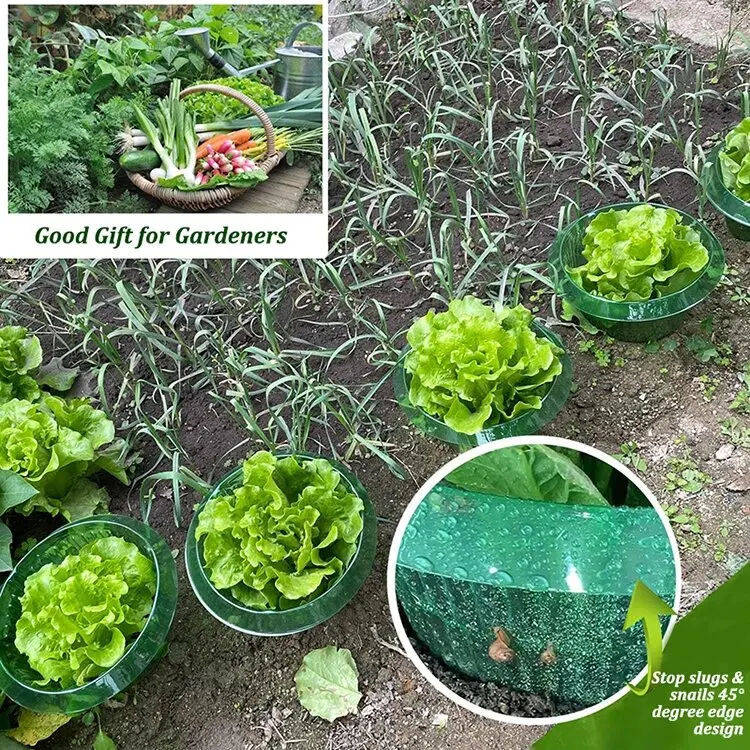 Wiederverwendbare Gemüseschutzhüllen Gartenpflanzen-Schnecken- und Nacktschneckenschutzkragen Landwirtschaftlicher Wasserschutz für Blumen – Detail 5