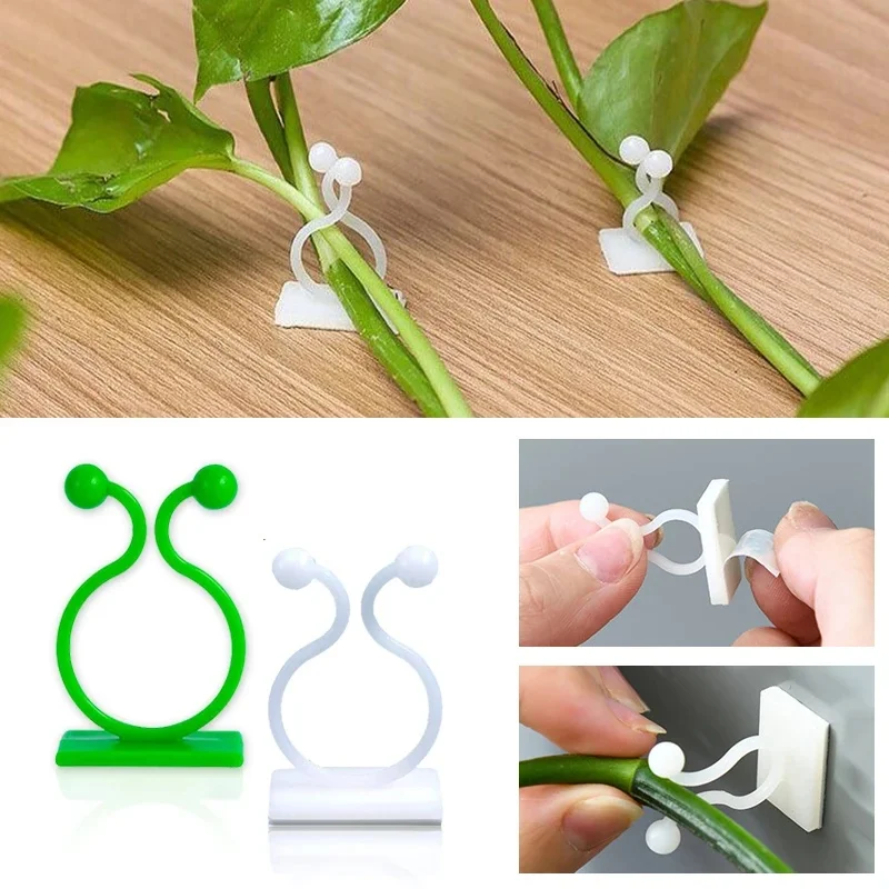20-60pcs Plant Climbing Wall Self-Adhesive Fixed Buckle Hook Tied Fixture Vine Buckle Hook Garden Plant Wall Climbing Vine Clips