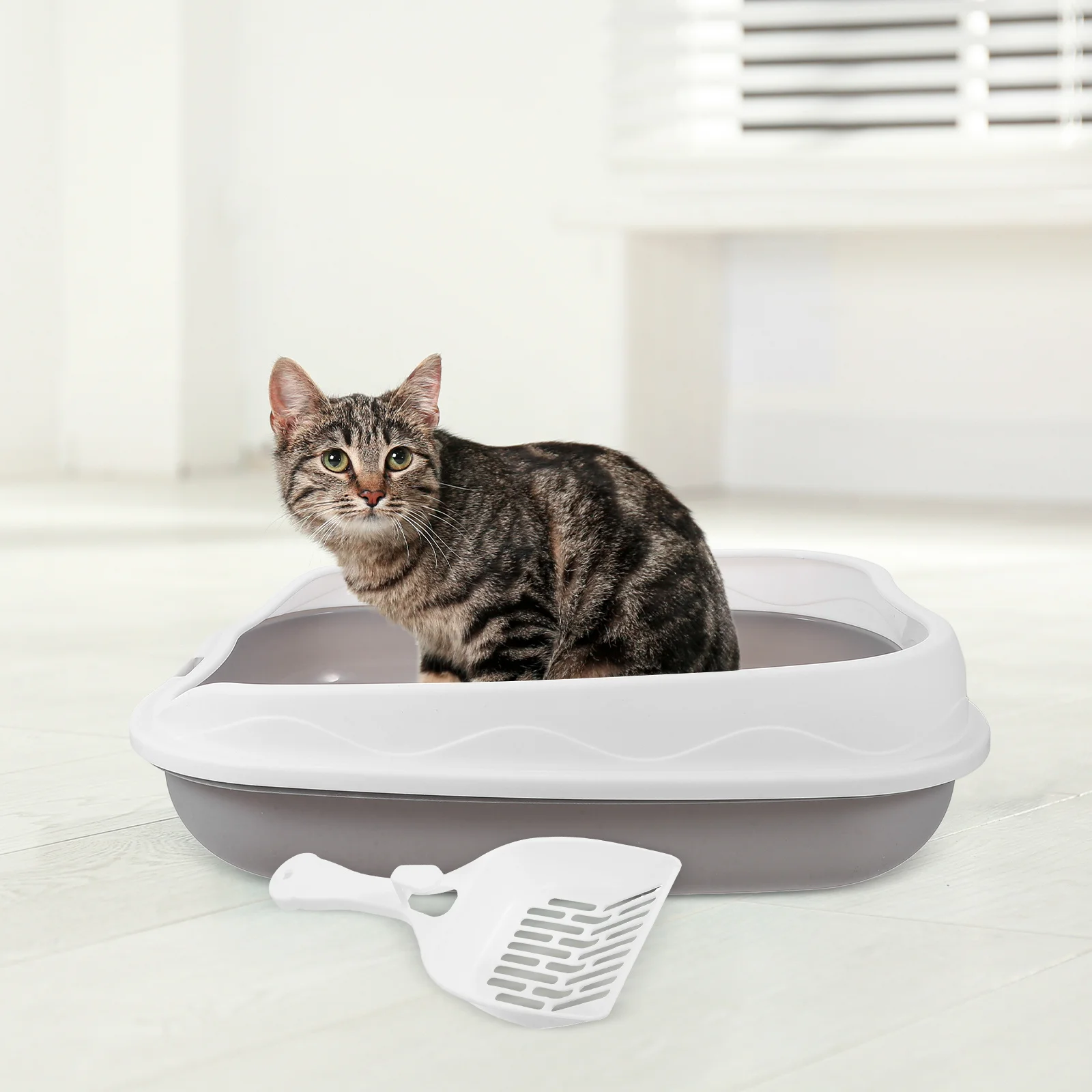 

Cat Litter Box Semi Enclosed Top Entry Large Capacity Durable Clean Spacious Pet Toilet For Kittens Adult Cats Portable