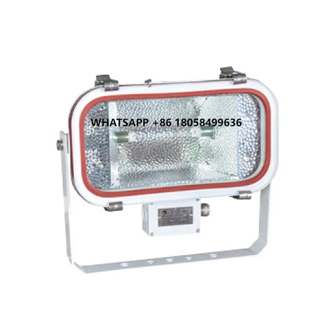 

R7S TG18 200W 300W 500W Marine IP67 Waterproof Tungsten Halogen Lamp Flood Light for Boat