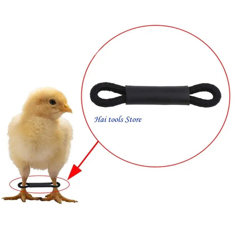 X37E 50/100Pcs Chicken Leg Bands Adjustable Hobbling Chicken Hobble Brace for Puddle Leg Repair Bird Quail Ducks Hatched