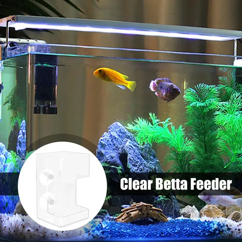 Transparent Aquarium Shrimp Feeding Dish Betta Fish Feeder Fish Tank Food Feeders For Gold fish And Turtle Aquarium Accessories