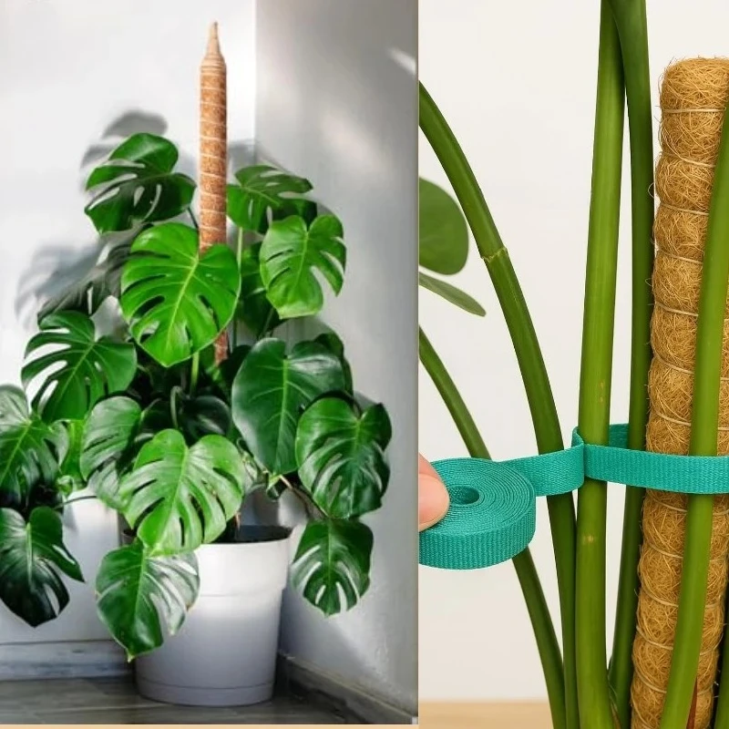 Biegbare Moosstange für Pflanzen Kokosfaser Monstera Pflanzenstütze Handgefertigte Kletterhilfe DIY Gartenzubehör – Detail 3
