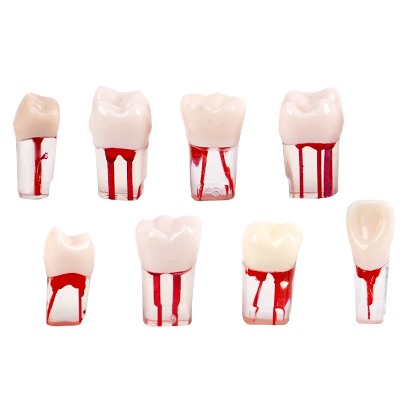 5pcs Dental Tooth Model Root Canal Models Endodontic Training Block RCT Practice Student Dentistry Teaching