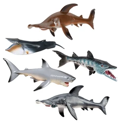 Realistic Plastic Ocean Sea Animal Big Size Model Balaenoptera Musculus Megalodon Shark Action Figure Party Decorations Toy Gift