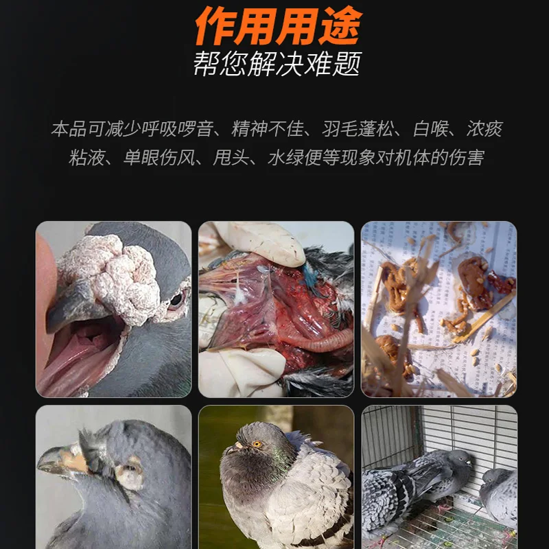 Pigeon Medicine Respiratory Tract Intestinal Chlamydia Pigeon Medicine Carrier Pigeon Respiratory Tract