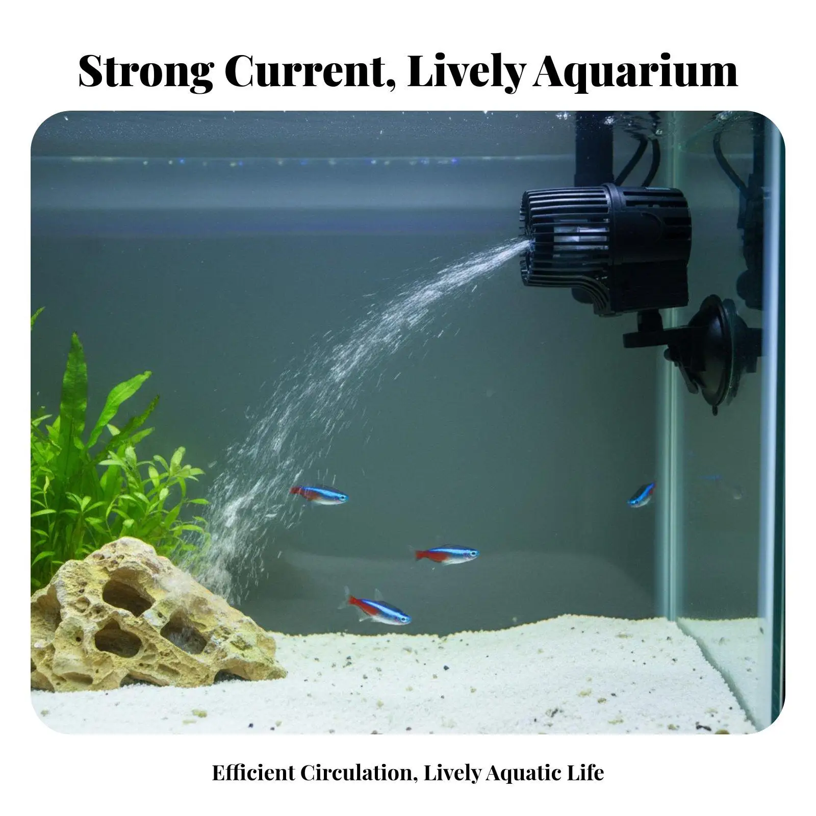 Submersible Wave Maker Pump for Aquarium with Dual Head Circulation and Silent Ceramic Motor