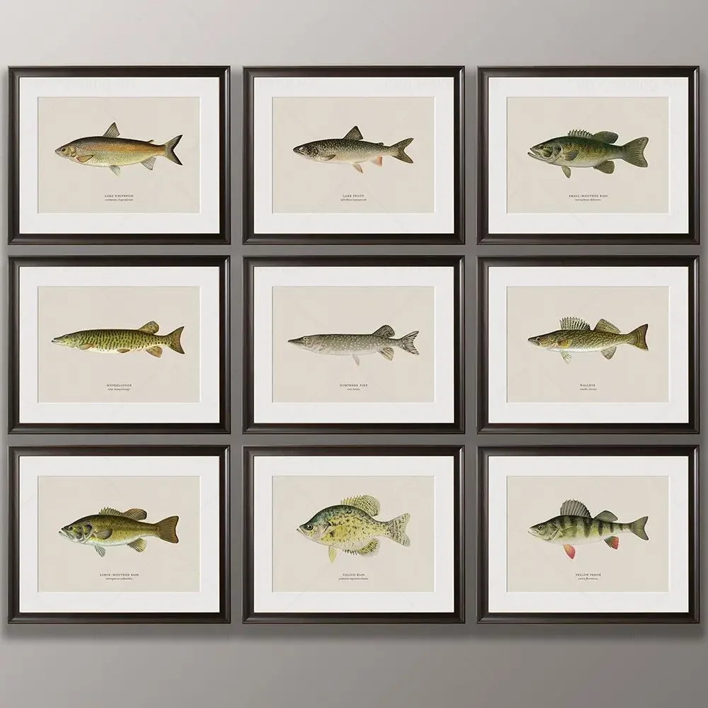 Vintage Freshwater Fish Art Print Fishing Canvas Poster Farmhouse Painting Breed of Fish Picture Home Wall Decor for Living Room