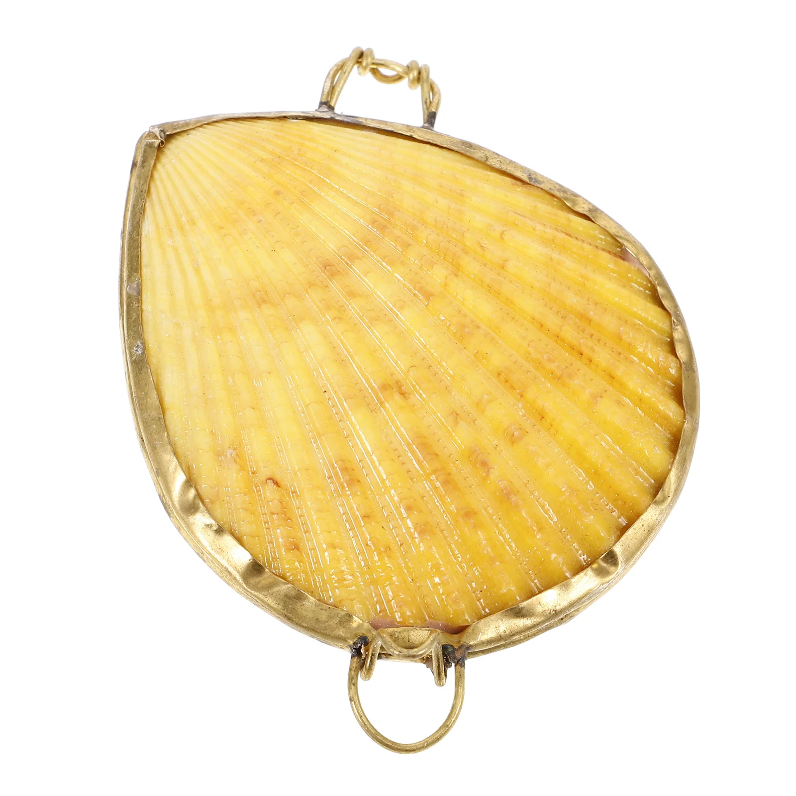 

Seashell Jewelry Box 6cm Storage Case for Ring Earrings Necklace Gift Lovers Birthday Wedding Anniversary Present