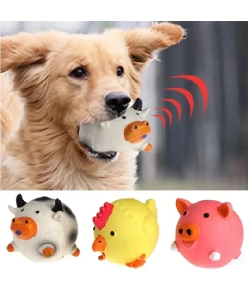 

Pet dog vocal toy