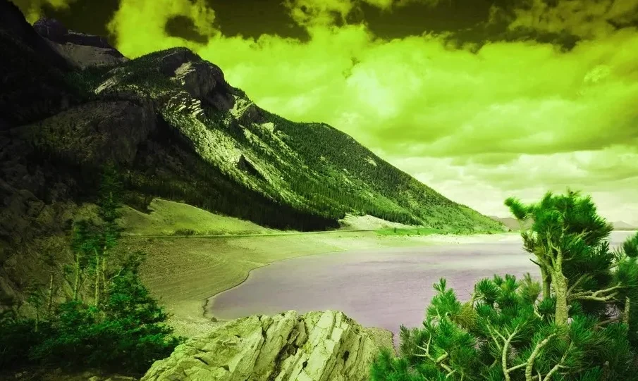 

USB-адаптеры Flywoo для FPV Drone DIY — типа C «папа-мама» и «мама» Micro Male — «мама» типа C