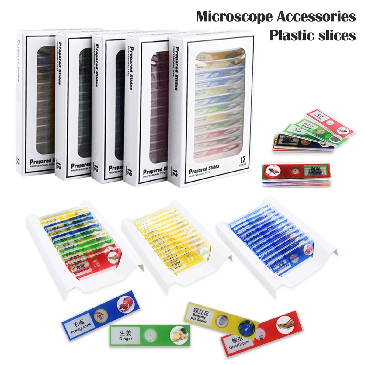 สไลด์กล้องจุลทรรศน์ 12 ชิ้น ตัวอย่างทางชีวภาพพลาสติก การศึกษาวิทยาศาสตร์ชีวภาพสําหรับกล้องจุลทรรศน์นักเรียน รูปแบบสุ่ม