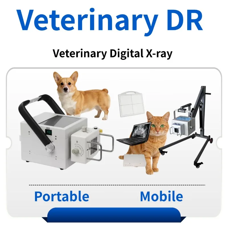 Vet X-ray Machine, Veterinary DR Digital Xray Machine for Small & Large Animal Clinic 002