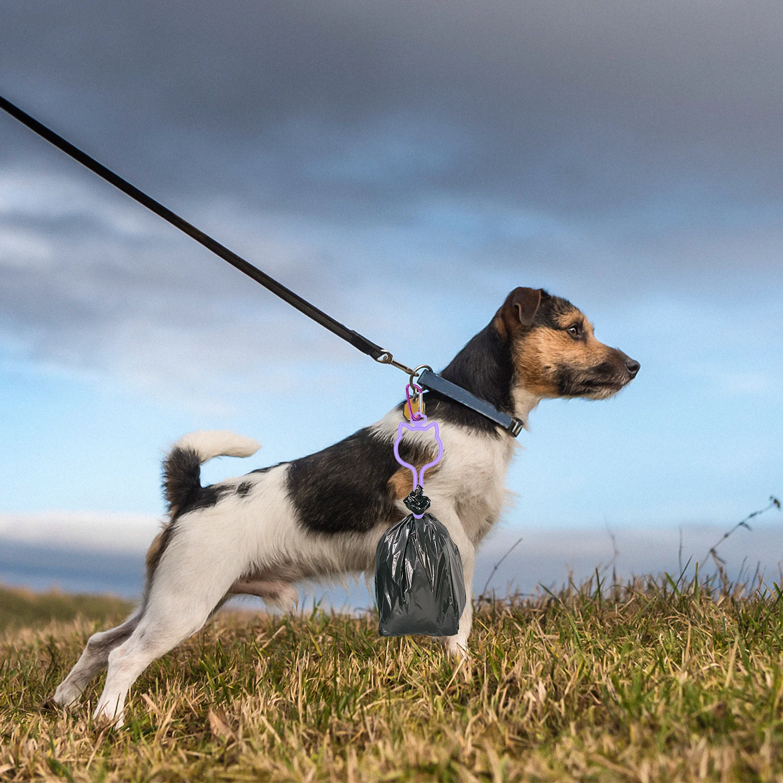 

8Pcs Dog Poop Bag Holder Durable Pet Waste Carrier for Convenient Hands Free Walking Poop Bag Holder Pet Supply