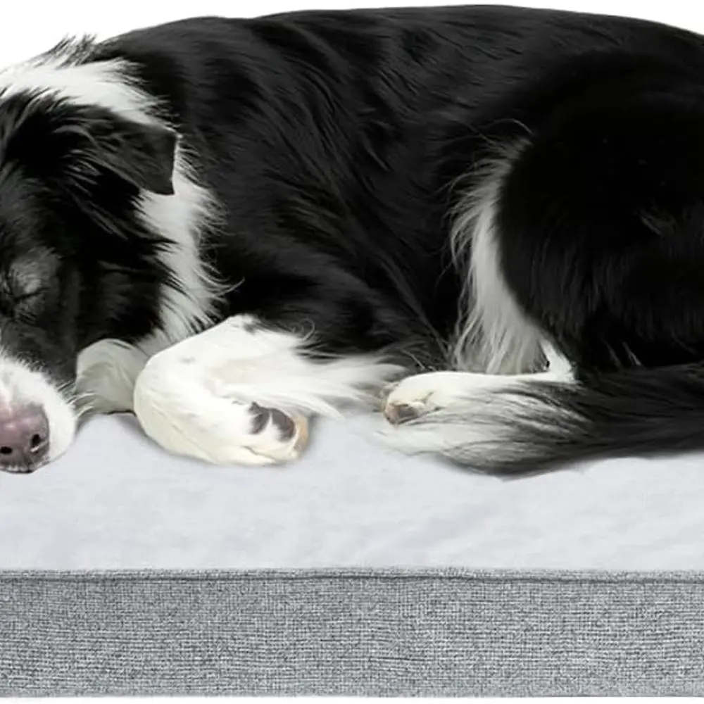 

Моющаяся кровать для собак, большая собака для пожилых людей, ортопедический теплый мягкий диван для домашних животных, водонепроницаемый диван для домашних животных с боками, нескользящий и яичный яичный F