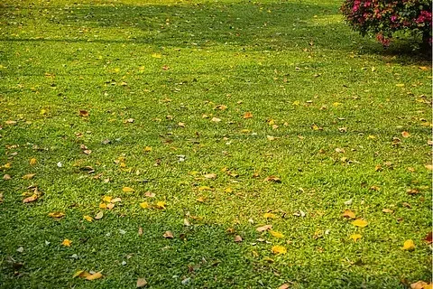 

4pcs 1.9'' Soft Rubber All Terrain Crawler Tyres for 1:10 Crawler Car Trxs TRX4 Axial SCX10 II RC4WD D90 TF2 Tamiya CC01 Gen